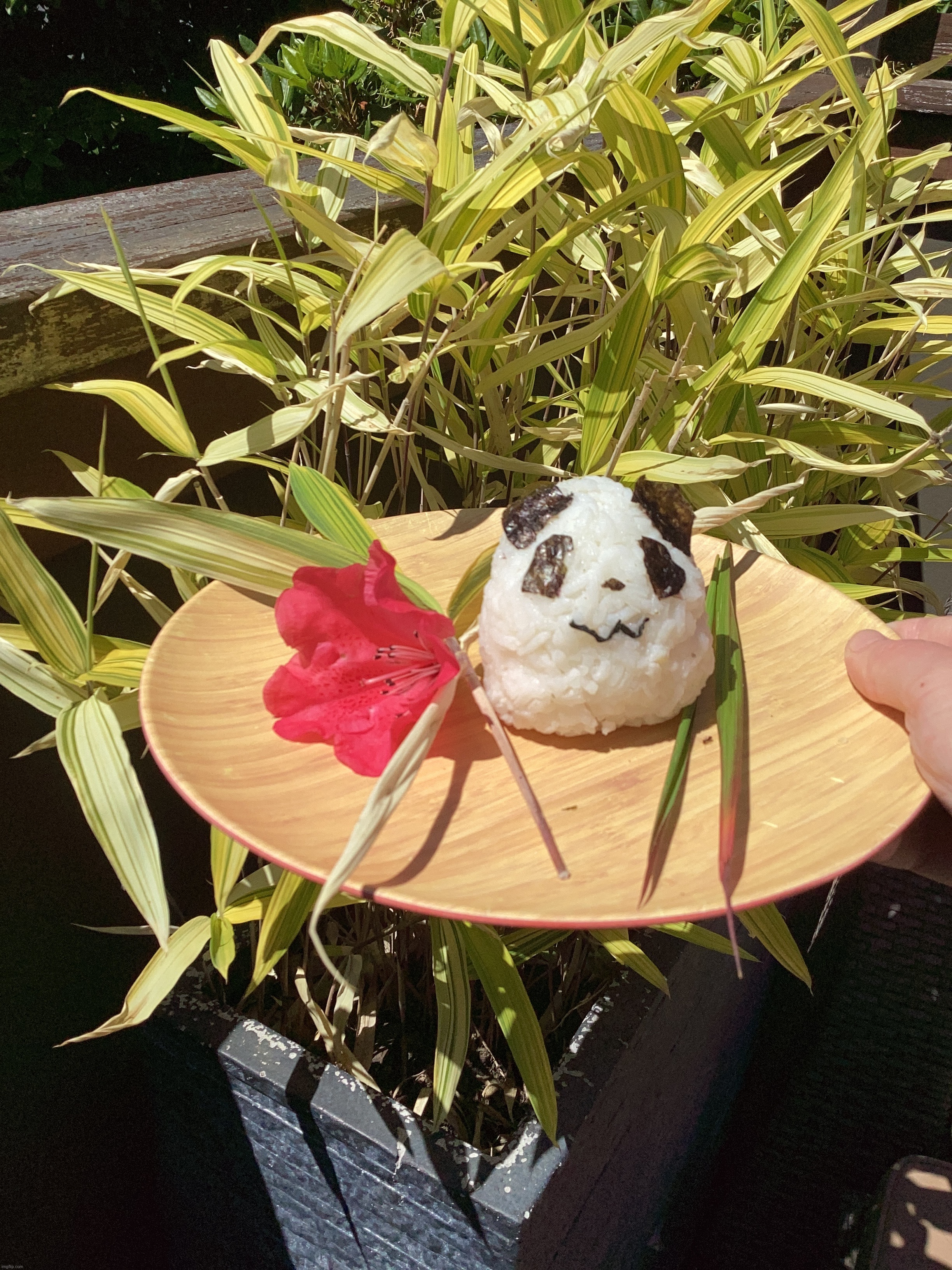 Panda rice ball I made this afternoon (I was bored) | made w/ Imgflip meme maker