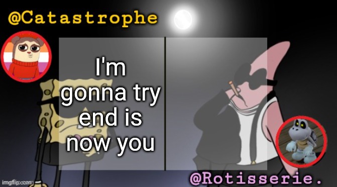 rotisserie AND cat??? | I'm gonna try end is now you | image tagged in rotisserie and cat | made w/ Imgflip meme maker