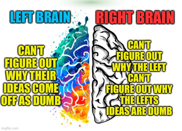 This is why we can’t get along | CAN’T FIGURE OUT WHY THE LEFT CAN’T FIGURE OUT WHY THE LEFTS IDEAS ARE DUMB; RIGHT BRAIN; LEFT BRAIN; CAN’T FIGURE OUT WHY THEIR IDEAS COME OFF AS DUMB | image tagged in left brain right brain | made w/ Imgflip meme maker