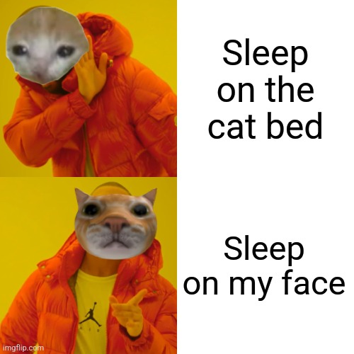 Why is this true? | Sleep on the cat bed; Sleep on my face | image tagged in memes,drake hotline bling | made w/ Imgflip meme maker