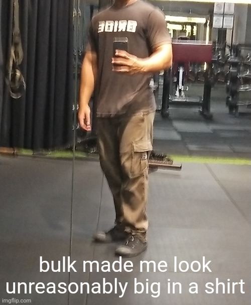yea | bulk made me look unreasonably big in a shirt | made w/ Imgflip meme maker
