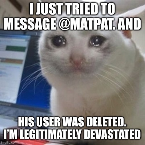 can we get homage in the comments? | I JUST TRIED TO MESSAGE @MATPAT. AND; HIS USER WAS DELETED. I’M LEGITIMATELY DEVASTATED | image tagged in crying cat,sad,grief,rip,miss you | made w/ Imgflip meme maker