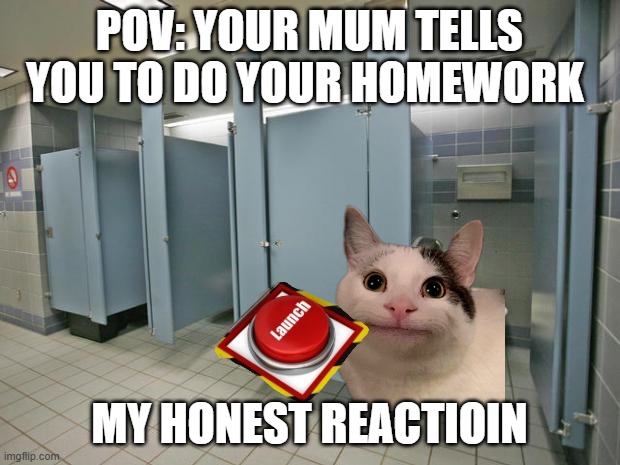 my average day | POV: YOUR MUM TELLS YOU TO DO YOUR HOMEWORK; MY HONEST REACTIOIN | image tagged in bathroom stall | made w/ Imgflip meme maker