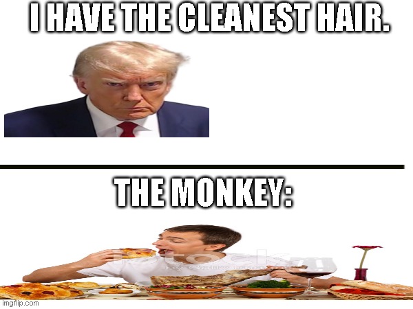For slow people, the monkey picks nits out of hair. | I HAVE THE CLEANEST HAIR. THE MONKEY: | image tagged in funny memes,funny,fun,funny meme,memes,meme | made w/ Imgflip meme maker