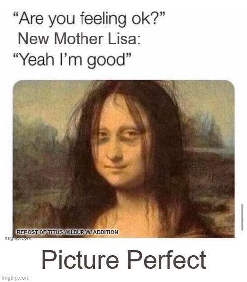 Picture Perfect | made w/ Imgflip meme maker