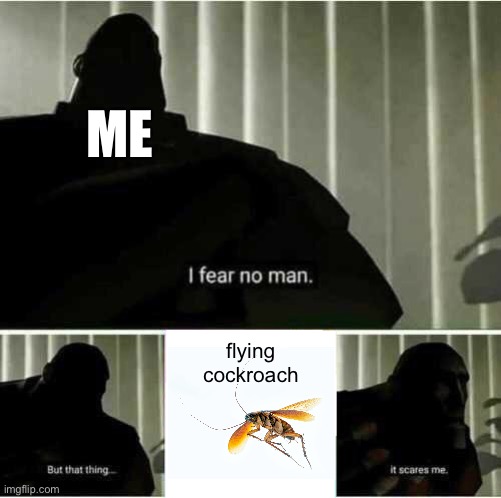 why do these things exist | ME; flying cockroach | image tagged in i fear no man,oh no | made w/ Imgflip meme maker