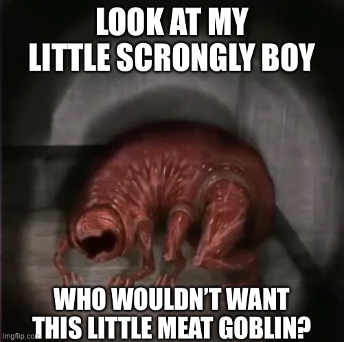 #LetTheTrimmingsInYourHouse | LOOK AT MY LITTLE SCRONGLY BOY; WHO WOULDN’T WANT THIS LITTLE MEAT GOBLIN? | image tagged in horror | made w/ Imgflip meme maker