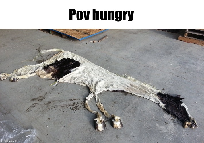 Deflated horse | Pov hungry | image tagged in deflated horse | made w/ Imgflip meme maker