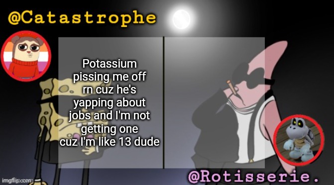 rotisserie AND cat??? | Potassium pissing me off rn cuz he's yapping about jobs and I'm not getting one cuz I'm like 13 dude | image tagged in rotisserie and cat | made w/ Imgflip meme maker