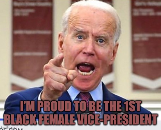 Joe Biden no malarkey | I’M PROUD TO BE THE 1ST BLACK FEMALE VICE-PRESIDENT | image tagged in joe biden no malarkey | made w/ Imgflip meme maker