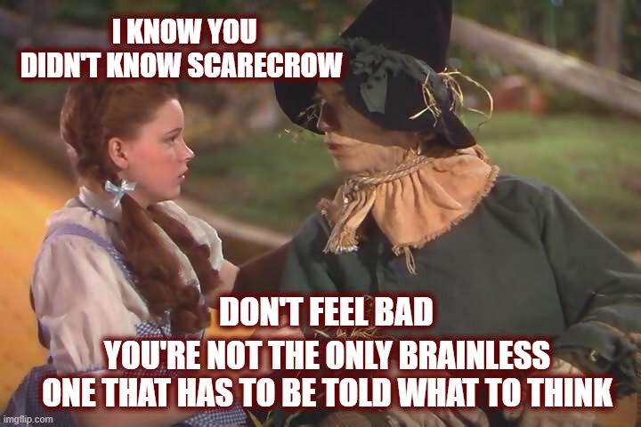 Dorothy and scarecrow | I KNOW YOU DIDN'T KNOW SCARECROW YOU'RE NOT THE ONLY BRAINLESS ONE THAT HAS TO BE TOLD WHAT TO THINK DON'T FEEL BAD | image tagged in dorothy and scarecrow | made w/ Imgflip meme maker