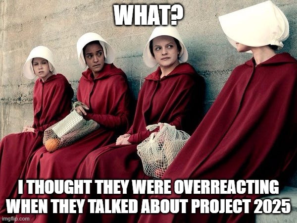 Handmaid's Tale | WHAT? I THOUGHT THEY WERE OVERREACTING WHEN THEY TALKED ABOUT PROJECT 2025 | image tagged in handmaid's tale | made w/ Imgflip meme maker