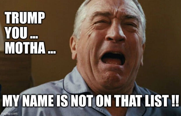 deniro crying | TRUMP YOU ... MOTHA ... MY NAME IS NOT ON THAT LIST !! | image tagged in deniro crying | made w/ Imgflip meme maker