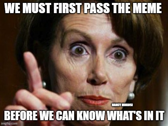 NancyWisdom | WE MUST FIRST PASS THE MEME; BEFORE WE CAN KNOW WHAT'S IN IT; NANCY MOROSI | made w/ Imgflip meme maker
