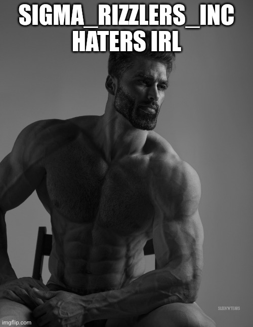 Giga Chad | SIGMA_RIZZLERS_INC HATERS IRL | image tagged in giga chad | made w/ Imgflip meme maker