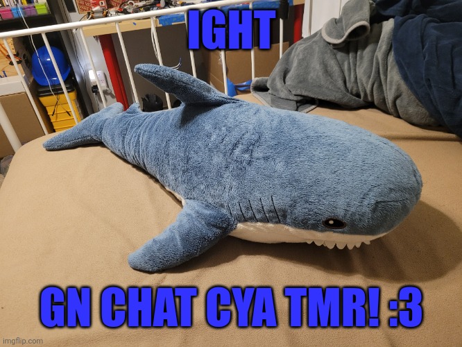 Ight imma head out, me eepy | IGHT; GN CHAT CYA TMR! :3 | image tagged in my blahaj | made w/ Imgflip meme maker