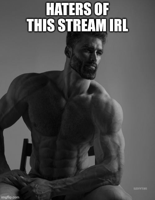 Giga Chad | HATERS OF THIS STREAM IRL | image tagged in giga chad | made w/ Imgflip meme maker