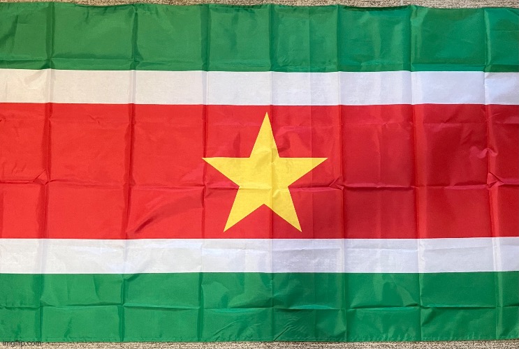 My Suriname flag | image tagged in flag | made w/ Imgflip meme maker
