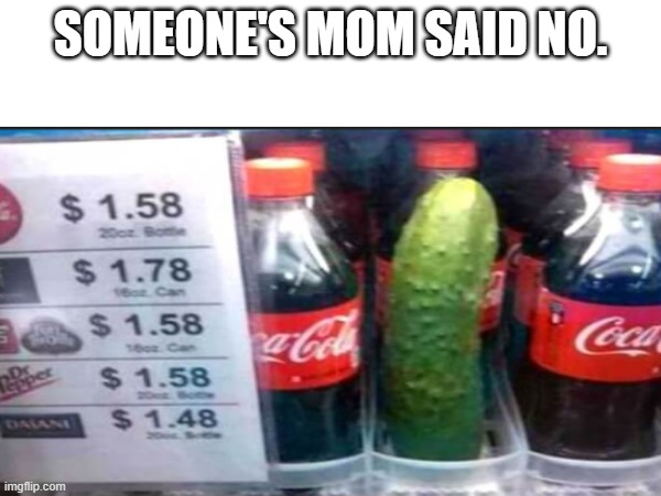 SOMEONE'S MOM SAID NO. | made w/ Imgflip meme maker