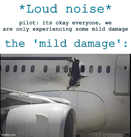 is its just me or mechanics theese days? | *Loud noise*; pilot: its okay everyone, we are only experiencing some mild damage; the 'mild damage': | image tagged in airplane,you had one job | made w/ Imgflip meme maker