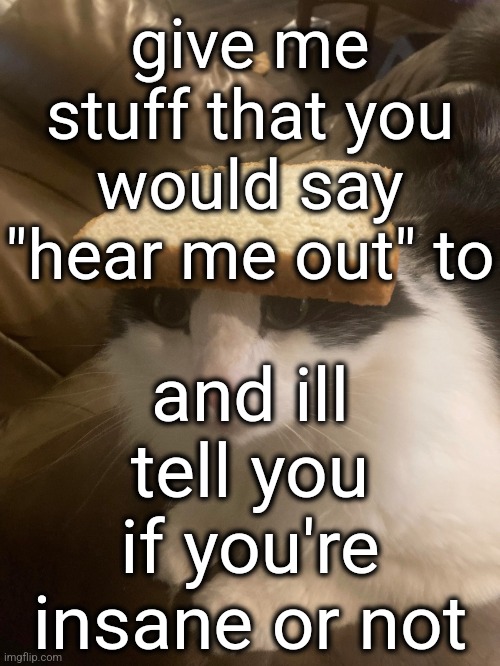 this is an image | give me stuff that you would say "hear me out" to; and ill tell you if you're insane or not | image tagged in bread cat | made w/ Imgflip meme maker
