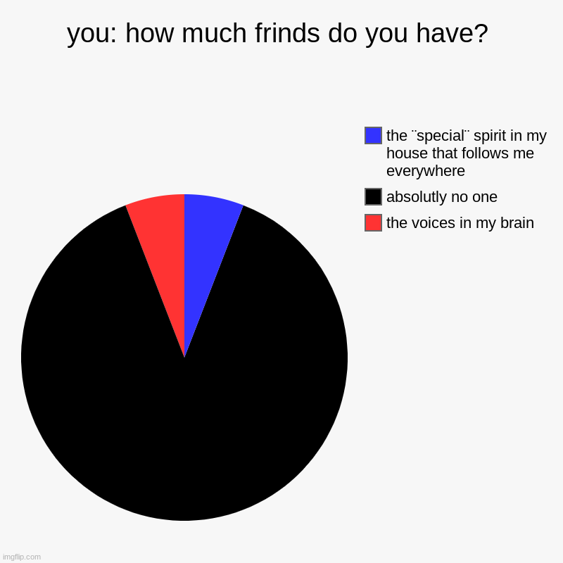 you: how much frinds do you have? | the voices in my brain, absolutly no one, the ¨special¨ spirit in my house that follows me everywhere | image tagged in charts,pie charts | made w/ Imgflip chart maker
