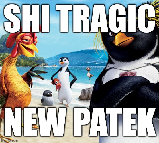 Surf's Up Penguins | SHI TRAGIC NEW PATEK | image tagged in surf's up penguins | made w/ Imgflip meme maker