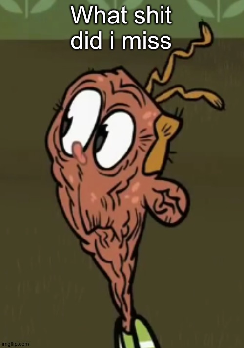 two shoes wild | What shit did i miss | image tagged in two shoes wild | made w/ Imgflip meme maker