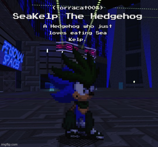 My Sonic OC (Can't say Seaweed so I said SeaKelp) | made w/ Imgflip meme maker