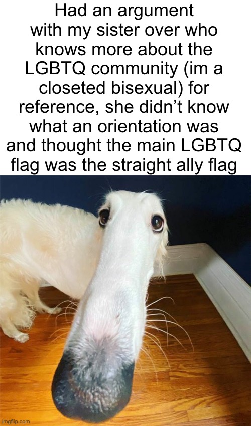 i told her the argument will age well in a few years but she decided to not remember because I didn’t tell her what i was gonna | Had an argument with my sister over who knows more about the LGBTQ community (im a closeted bisexual) for reference, she didn’t know what an orientation was and thought the main LGBTQ flag was the straight ally flag | image tagged in let me do it for you | made w/ Imgflip meme maker