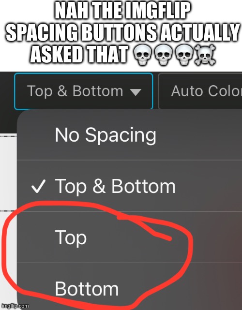 “top or bottom?” | NAH THE IMGFLIP SPACING BUTTONS ACTUALLY ASKED THAT 💀💀💀☠️ | image tagged in oh wow are you actually reading these tags,stop reading the tags | made w/ Imgflip meme maker