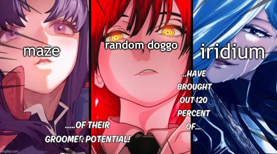 120% OF THIER GROOMER POTENTIAL | maze; random doggo; iridium | made w/ Imgflip meme maker