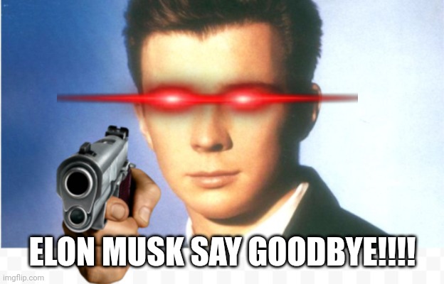 Rick astley say goodbye | ELON MUSK SAY GOODBYE!!!! | image tagged in rick astley say goodbye | made w/ Imgflip meme maker