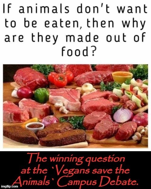 Why ? | image tagged in carnivores | made w/ Imgflip meme maker