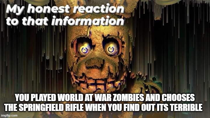 afton not liking world at war zombies | YOU PLAYED WORLD AT WAR ZOMBIES AND CHOOSES THE SPRINGFIELD RIFLE WHEN YOU FIND OUT ITS TERRIBLE | image tagged in springtrap honest reaction | made w/ Imgflip meme maker