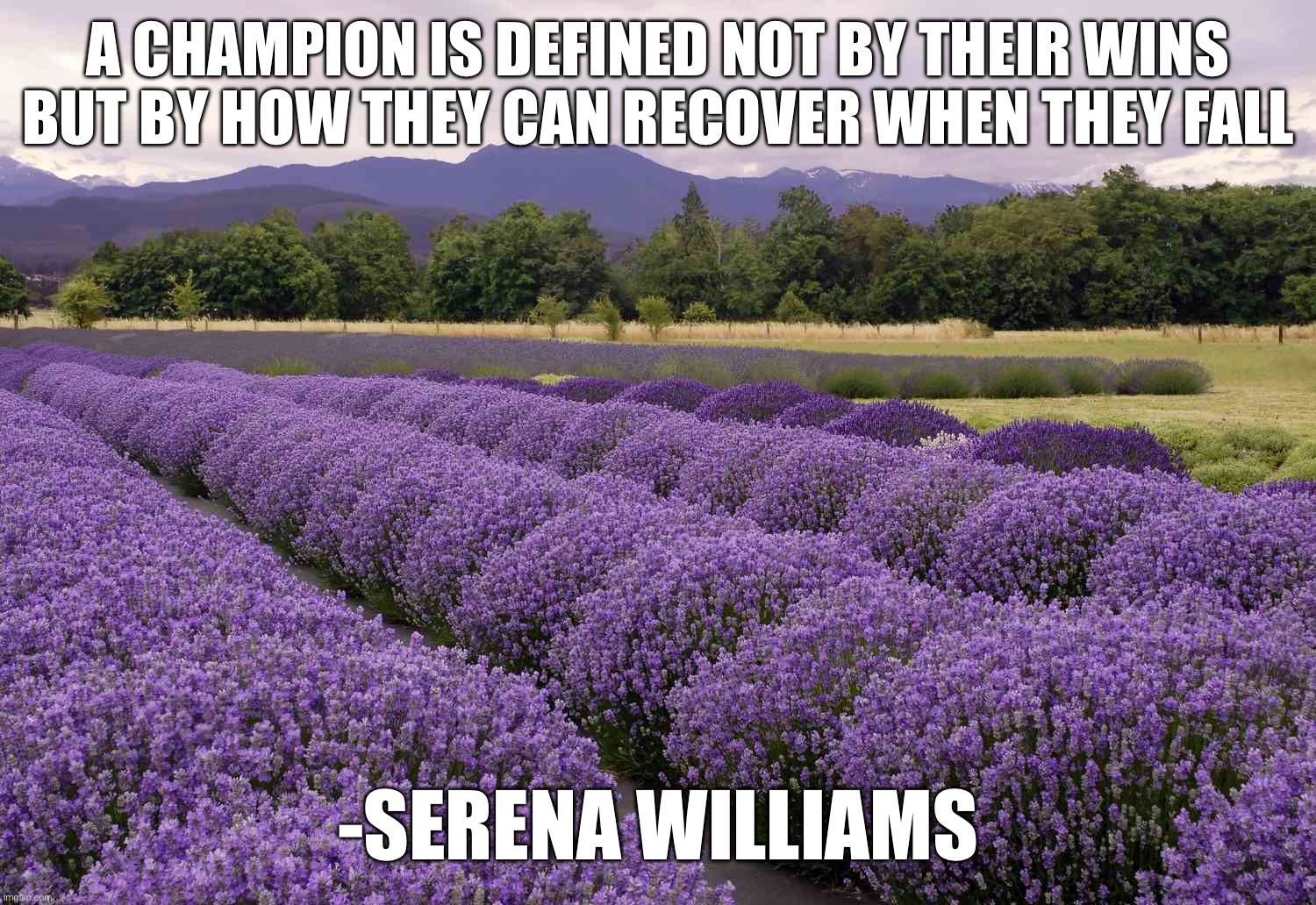 A CHAMPION IS DEFINED NOT BY THEIR WINS BUT BY HOW THEY CAN RECOVER WHEN THEY FALL; -SERENA WILLIAMS | image tagged in memes,motivational | made w/ Imgflip meme maker