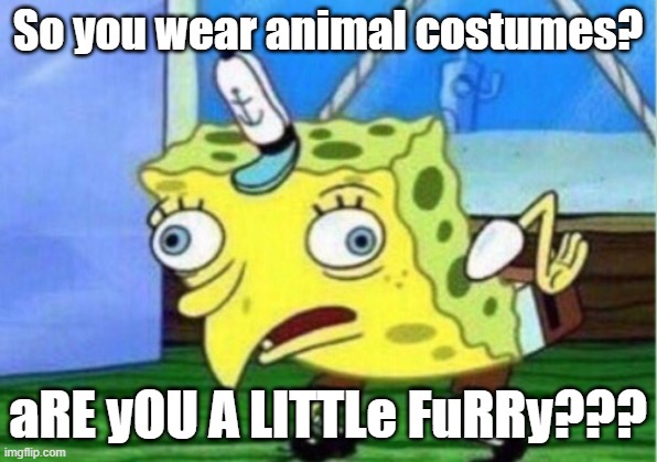 Mocking Spongebob | So you wear animal costumes? aRE yOU A LITTLe FuRRy??? | image tagged in memes,mocking spongebob | made w/ Imgflip meme maker