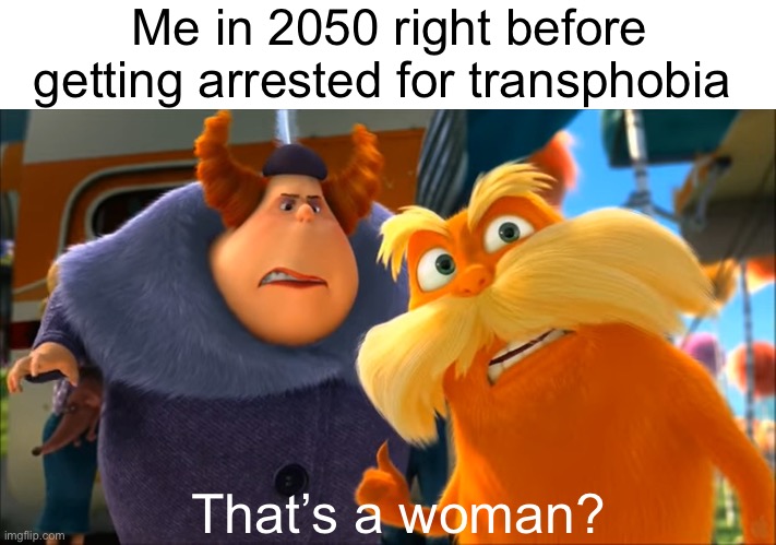 Lorax That's A Woman | Me in 2050 right before getting arrested for transphobia; That’s a woman? | image tagged in lorax that's a woman,lgbt,funny memes,fun,memes,argument | made w/ Imgflip meme maker
