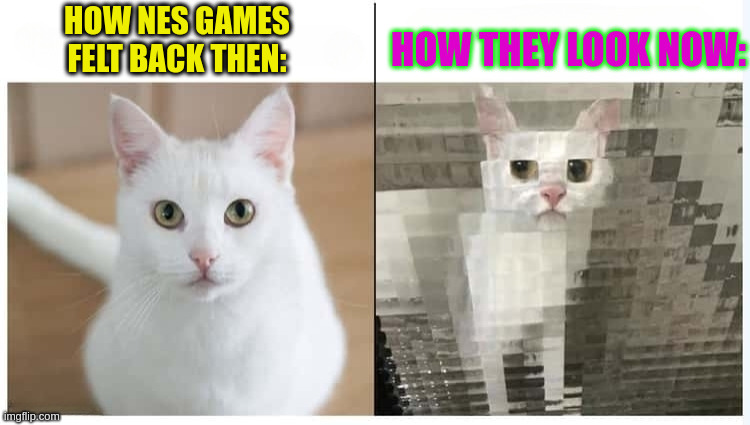 Nes Games : A beautiful Time | HOW NES GAMES FELT BACK THEN:; HOW THEY LOOK NOW: | image tagged in before after cat | made w/ Imgflip meme maker