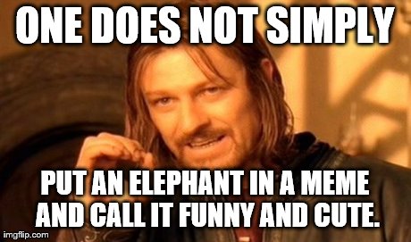 One Does Not Simply Meme | ONE DOES NOT SIMPLY PUT AN ELEPHANT IN A MEME AND CALL IT FUNNY AND CUTE. | image tagged in memes,one does not simply | made w/ Imgflip meme maker
