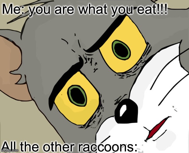 You are what you eat | Me: you are what you eat!!! All the other raccoons: | image tagged in memes,unsettled tom | made w/ Imgflip meme maker