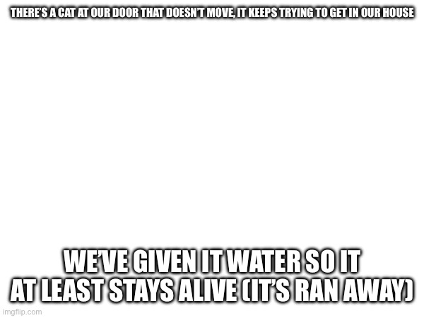 It wants to be pet too | THERE’S A CAT AT OUR DOOR THAT DOESN’T MOVE, IT KEEPS TRYING TO GET IN OUR HOUSE; WE’VE GIVEN IT WATER SO IT AT LEAST STAYS ALIVE (IT’S RAN AWAY) | made w/ Imgflip meme maker