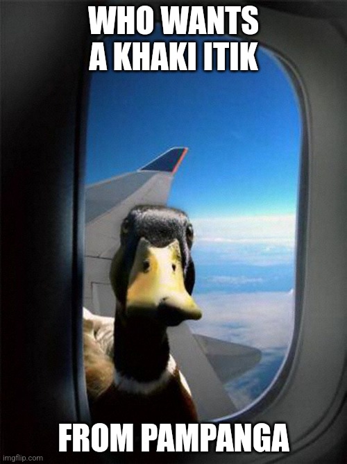 What | WHO WANTS A KHAKI ITIK; FROM PAMPANGA | image tagged in airplane duck | made w/ Imgflip meme maker