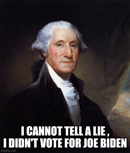 George Washington Meme | I CANNOT TELL A LIE , I DIDN'T VOTE FOR JOE BIDEN | image tagged in memes,george washington | made w/ Imgflip meme maker