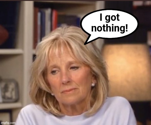 Jill Biden meme | I got
nothing! | image tagged in jill biden meme | made w/ Imgflip meme maker
