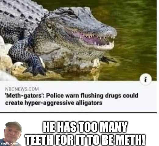 Meth Gators | HE HAS TOO MANY TEETH FOR IT TO BE METH! | image tagged in durlearl | made w/ Imgflip meme maker