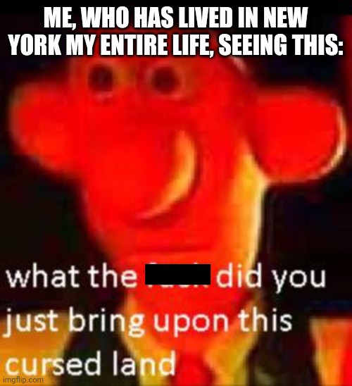 What the f**k did you just bring upon this cursed land | ME, WHO HAS LIVED IN NEW YORK MY ENTIRE LIFE, SEEING THIS: | image tagged in what the f k did you just bring upon this cursed land | made w/ Imgflip meme maker