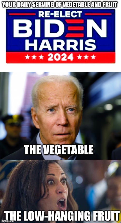 YOUR DAILY SERVING OF VEGETABLE AND FRUIT; THE VEGETABLE; THE LOW-HANGING FRUIT | image tagged in re-elect biden-harris 2024,joe biden confused,kamala harriss | made w/ Imgflip meme maker