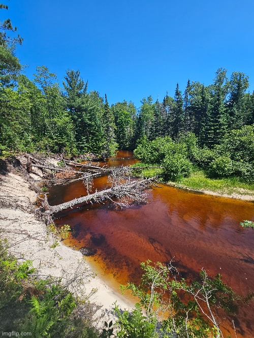 THE BEAUTIFUL RUSTY RIVER IN NORTHERN MICHIGAN | image tagged in michigan,nature,forest,river | made w/ Imgflip meme maker