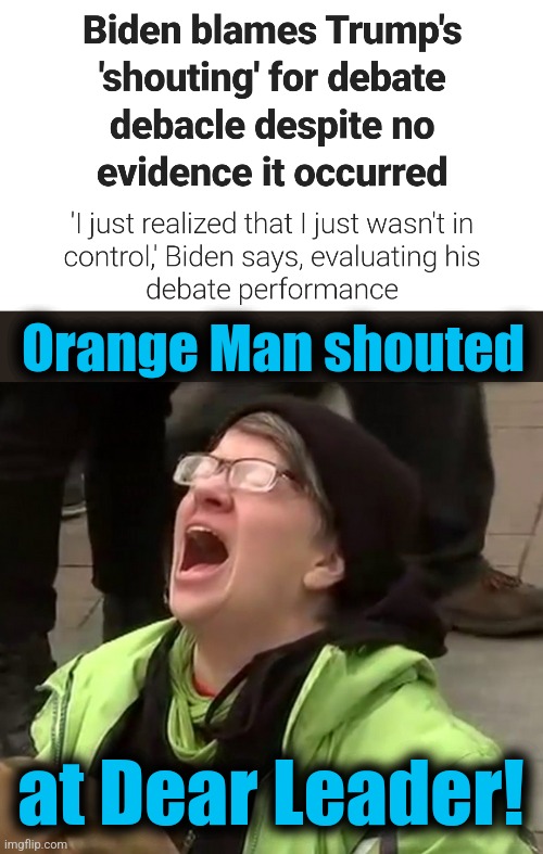 Oh, no! | Orange Man shouted; at Dear Leader! | image tagged in crying liberal,debate,joe biden,democrats,dementia,donald trump | made w/ Imgflip meme maker